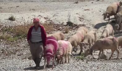 852 yıllık gelenek bu kez kuruyan nehir yatağında sembolik olarak yapıldı