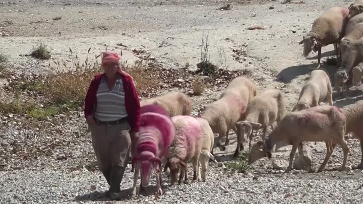 852 yıllık gelenek bu kez kuruyan nehir yatağında sembolik olarak yapıldı