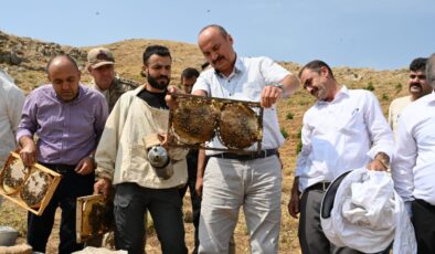 Sason’da bal hasadı başladı