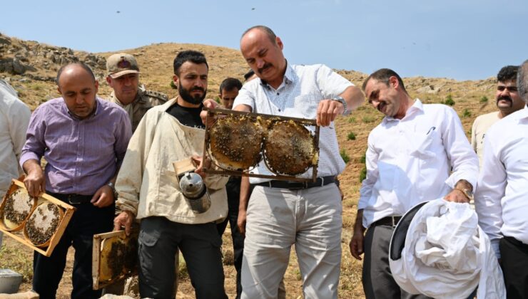 Sason’da bal hasadı başladı
