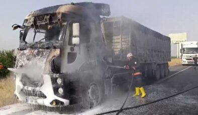 Şanlıurfa’da tırda çıkan yangın itfaiye ekiplerince söndürüldü