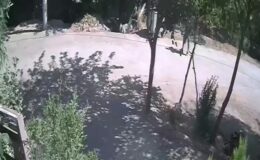Annesi ile birlikte yaşadığı kişiyi öldüren kişi tutuklandı