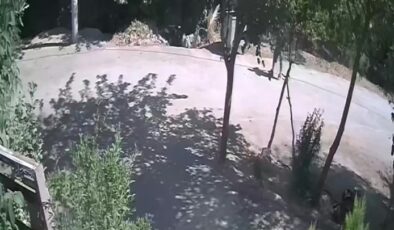 Annesi ile birlikte yaşadığı kişiyi öldüren kişi tutuklandı