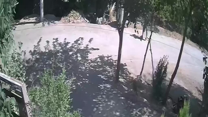Annesi ile birlikte yaşadığı kişiyi öldüren kişi tutuklandı
