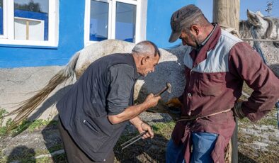 Nalbant aile, köyleri gezerek atları hasada hazırlıyor