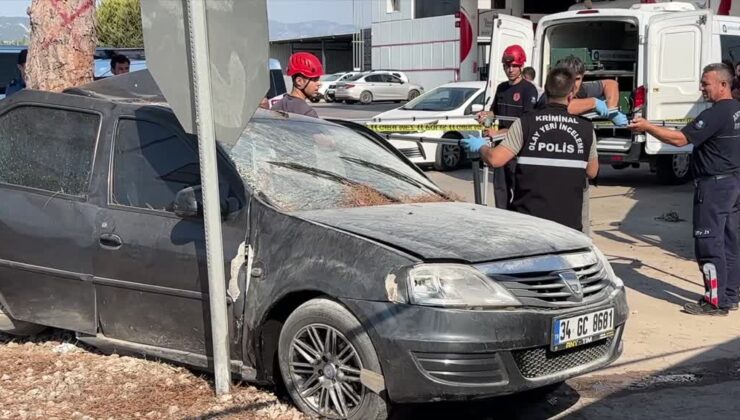 Ağaca çarpan otomobilin sürücüsü öldü