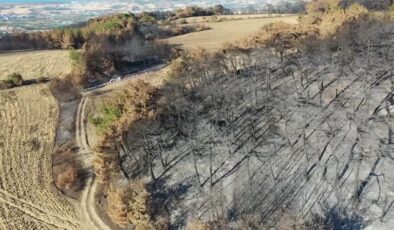 Anızı toprağa karıştırmak zirai alanı orman yangınlarından koruyor