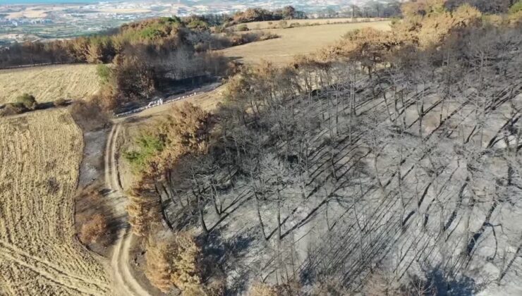 Anızı toprağa karıştırmak zirai alanı orman yangınlarından koruyor