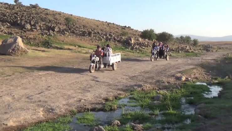 Muş’ta berivanların yeni yol arkadaşı üç tekerlekli motosiklet