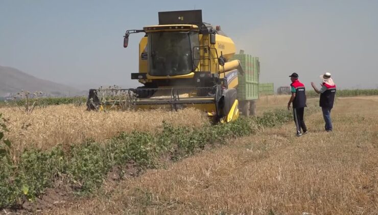 Biçerdöverler, dane kaybını önlemek için denetleniyor