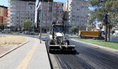 Diyarbakır’da Alipınar ve Sezai Karakoç’a sıcak asfalt