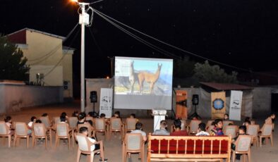 Diyarbakır’da açık hava film gösterimleri çocukları mest etti