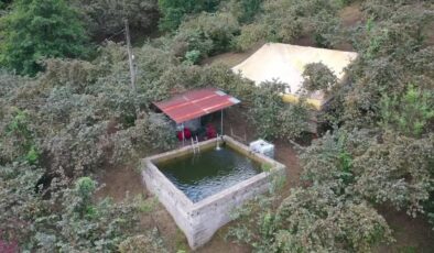 Fındık bahçesine damla sulama sistemi kuran baba oğul verimi iki kat artırdı