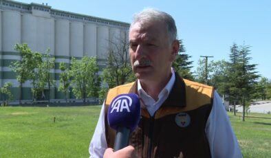 Fındık rekoltesinin bu yıl 453 bin ton olması bekleniyor