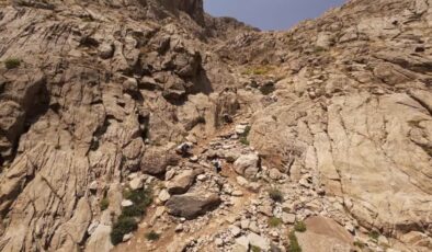 Hakkari’de zirve yolculuğu: Yükleri katırlar, hayalleri dağcılar taşıyor
