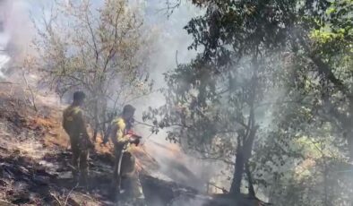 Hizan ilçesinde ağaçlık alanda çıkan yangın söndürüldü