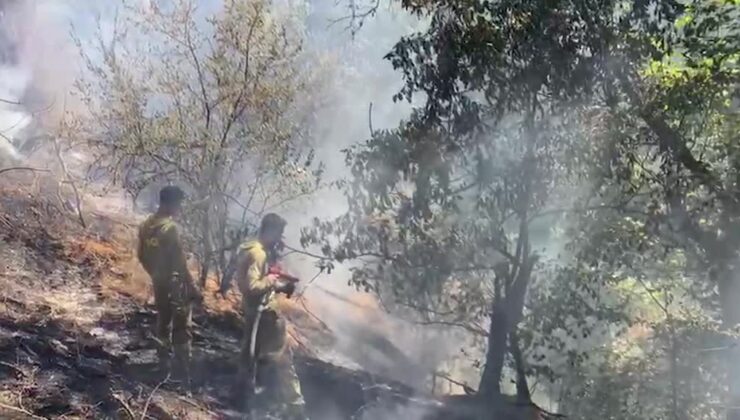 Hizan ilçesinde ağaçlık alanda çıkan yangın söndürüldü