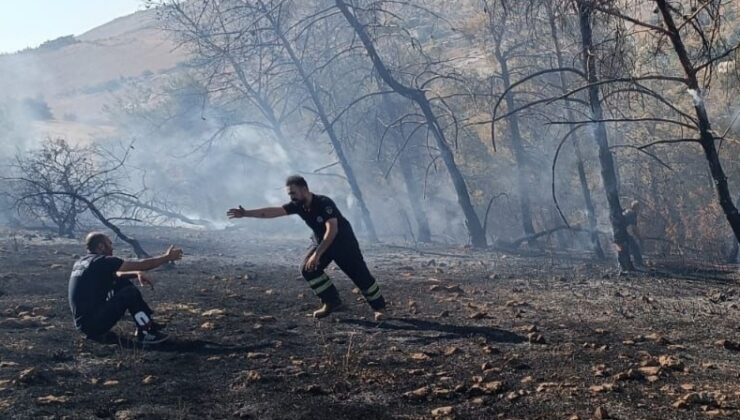 Şanlıurfa’da çıkan orman yangını söndürüldü