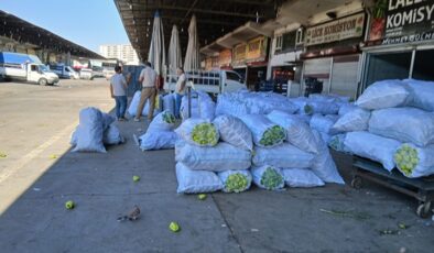 Kurutma Zamanı: Tırlarla Geliyor