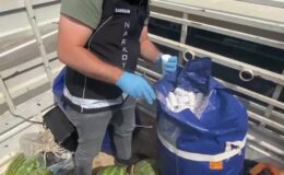 Karpuz yüklü kamyonette 110 bin uyuşturucu hap ve para ele geçirildi