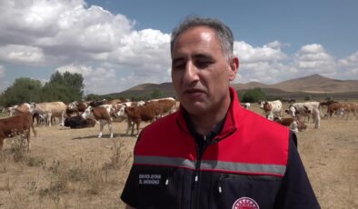 Kars Tarım ve Orman Müdürü Aydın, şap hastalığına ilişkin konuştu