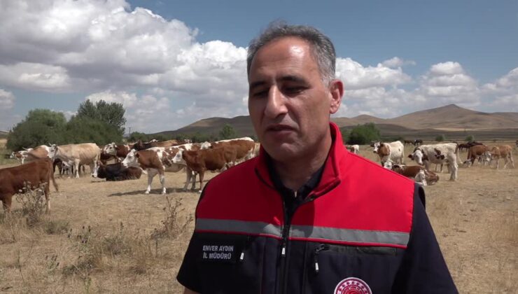 Kars Tarım ve Orman Müdürü Aydın, şap hastalığına ilişkin konuştu