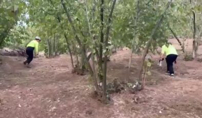 Kırsalda kaybolan yaşlı kadını bulmak için çalışma başlatıldı