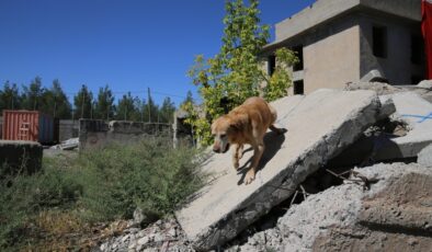 Koku alma yeteneğiyle Pusat en zor görevleri başarıyor