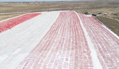 Kuraklık, Şanlıurfa’da domates verimini yüzde 20 azalttı