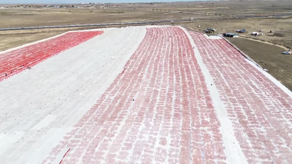 Kuraklık, Şanlıurfa’da domates verimini yüzde 20 azalttı