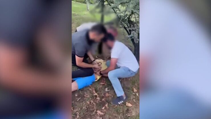 Kur’an-ı Kerim’e hakaret ve çocuk tacizi iddiasıyla aranan kişi yakalandı