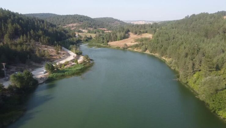 Kuş sesleri eşliğinde huzur veren gölet ilgi görüyor