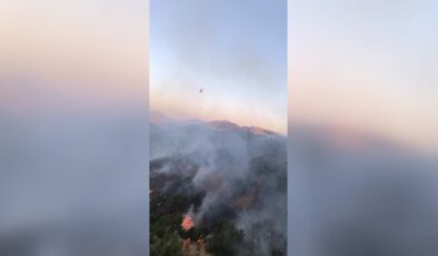 Jandarma helikopteri Lice’deki orman yangınına destek veriyor