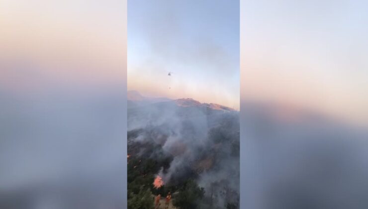 Jandarma helikopteri Lice’deki orman yangınına destek veriyor