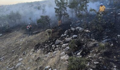 Lice’de ormanlık alanda çıkan yangın söndürüldü