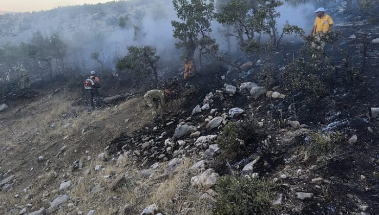 Lice’de ormanlık alanda çıkan yangın söndürüldü