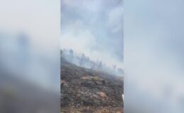 Malatya’daki orman yangınına müdahale ediliyor