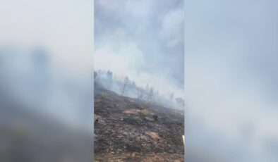 Malatya’daki orman yangınına müdahale ediliyor