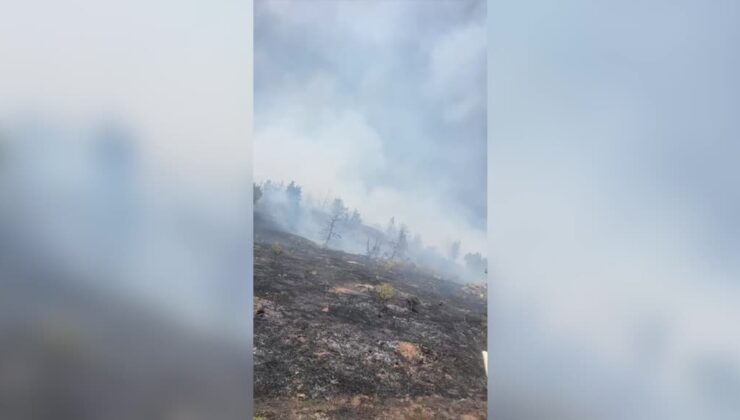 Malatya’daki orman yangınına müdahale ediliyor