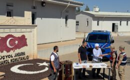 Mardin’de 2 hırsızlık şüphelisi tutuklandı