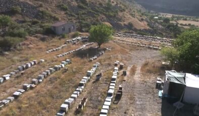 Mobilya işini bırakıp arıcılığa başladı, 25 yılda 400 kovana ulaştı