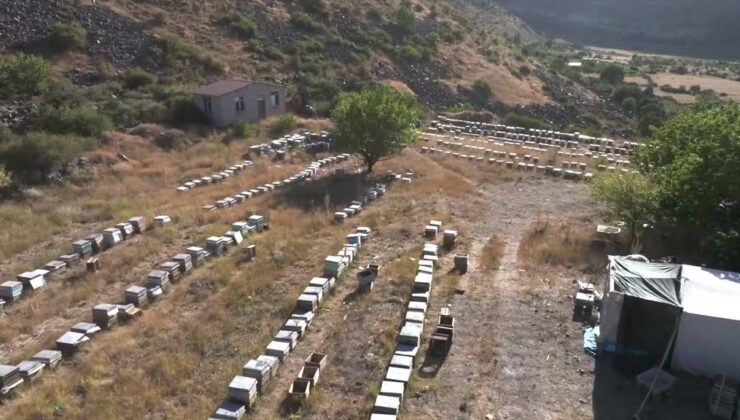 Mobilya işini bırakıp arıcılığa başladı, 25 yılda 400 kovana ulaştı