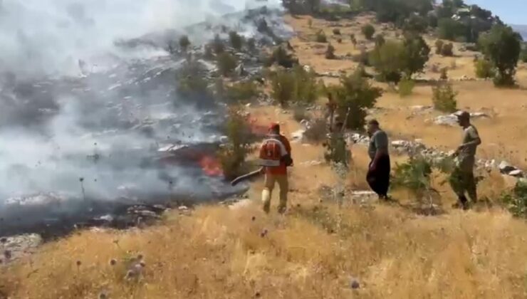 Ormanlık alanda çıkan yangına müdahale ediliyor