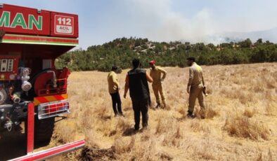 Şırnak’ta orman ve örtü yangını kontrol altına alındı