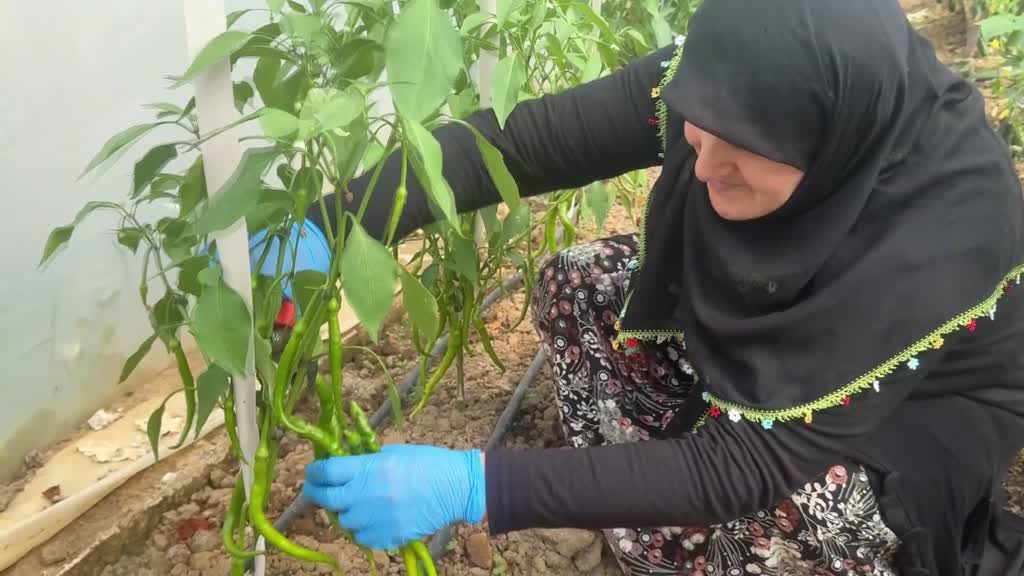 Seracılık hayalini 60 yaşında gerçekleştirdi
