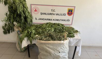 Şanlıurfa’da uyuşturucu operasyonunda 3 şüpheli yakalandı