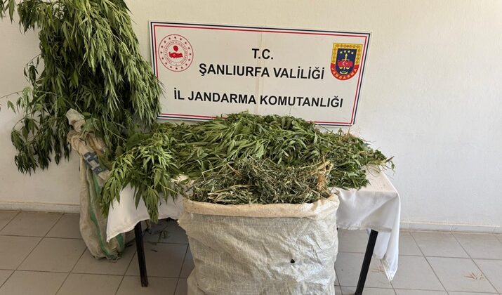 Şanlıurfa’da uyuşturucu operasyonunda 3 şüpheli yakalandı