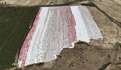 Karacadağ’da Kurutulan Domatesler Drone ile Görüntülendi: Gelincik Tarlasını Andırdı