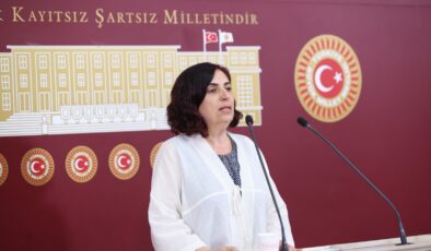 Dem Partili Çelenk, Diyarbakır’daki çevresel yıkım projelerini Meclis gündemine taşıdı