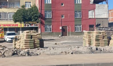 Depremde yıkılan alanlar ticaret alanına dönüştü